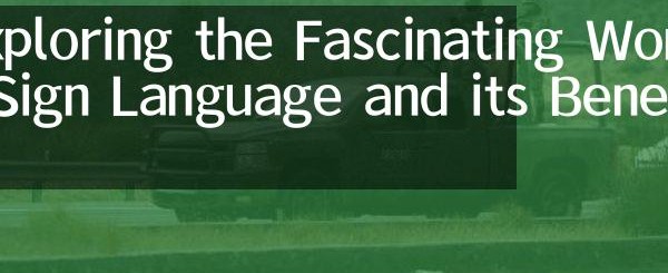  Exploring the Influence of German Loan Words in English: A Deep Dive into Their Origins and Usage